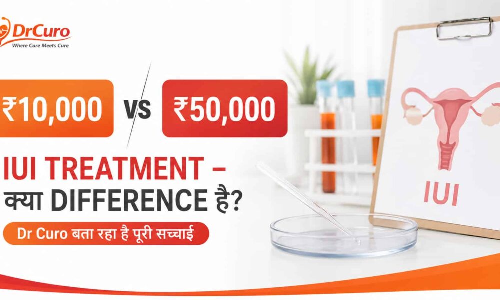Iui Treatment cost
