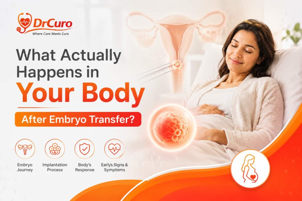 What Actually Happens in Your Body After Embryo Transfer?