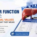Liver Function Test: Normal Values and What They Mean